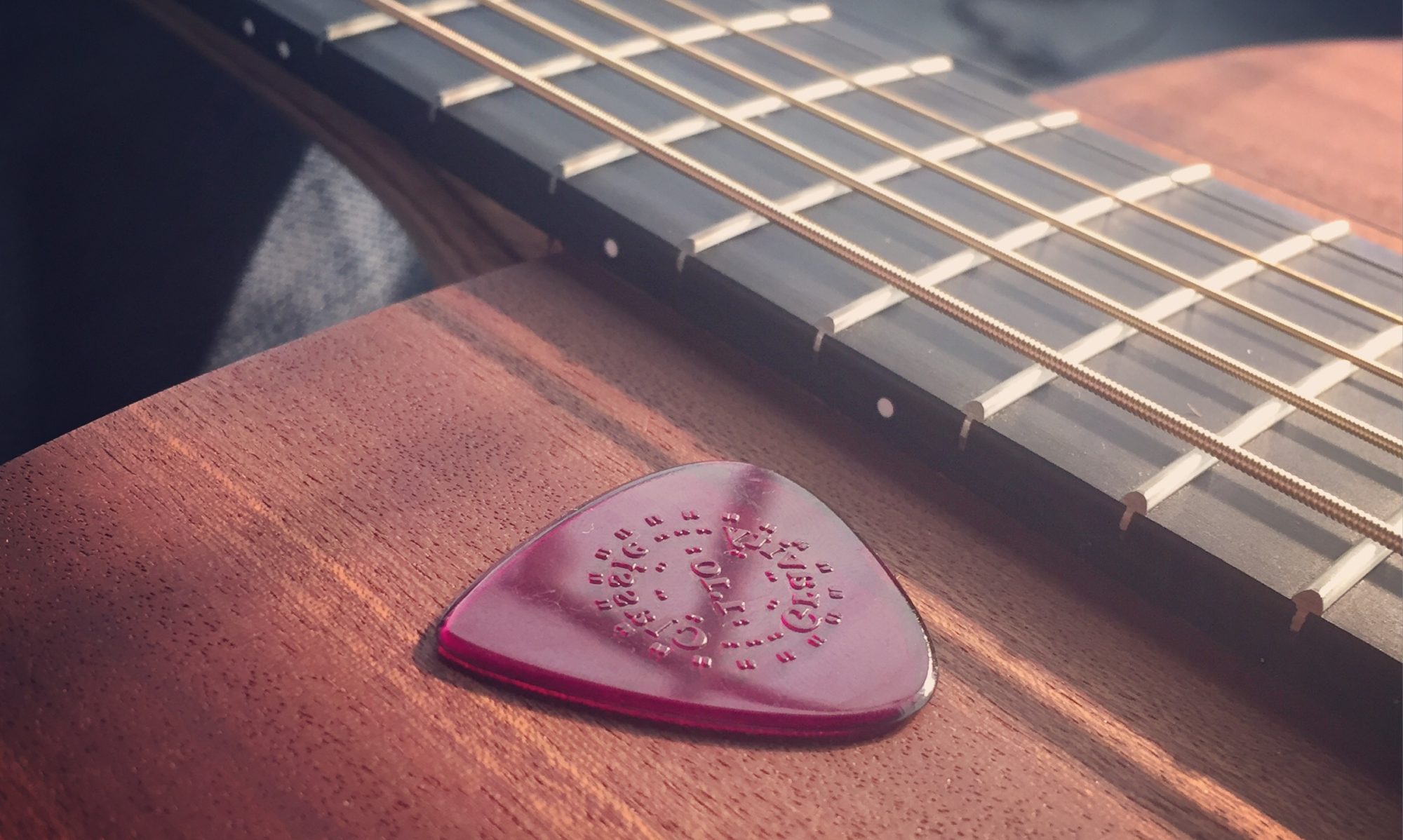 guitar and plectrum